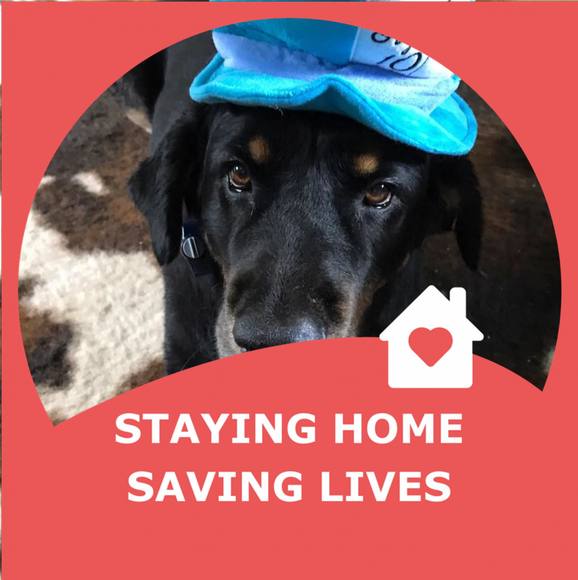 Meet your Posher, Jessica - Picture 1 of 1